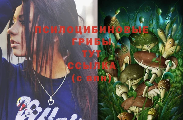 стафф Пестово