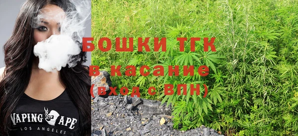 индика Алексин