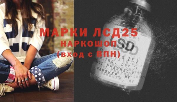 apvp Пересвет